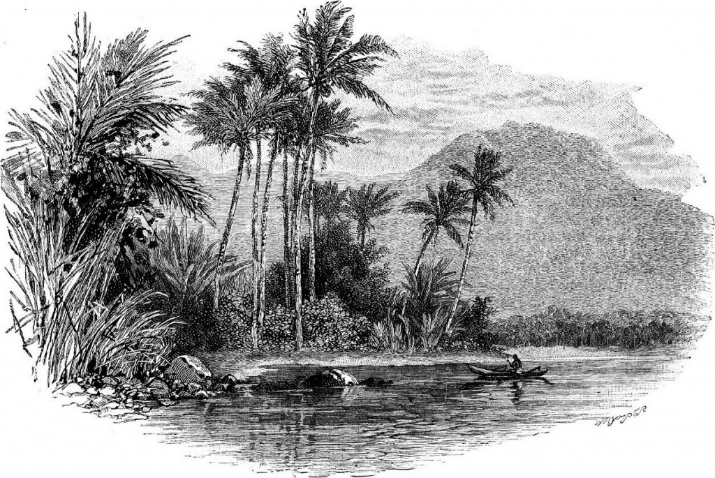 A Coastal Scene in Samoa
