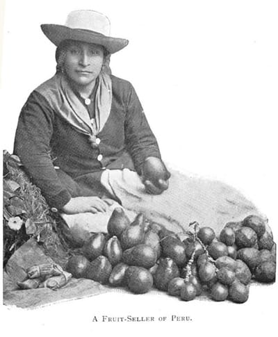 A fruit seller of Peru
